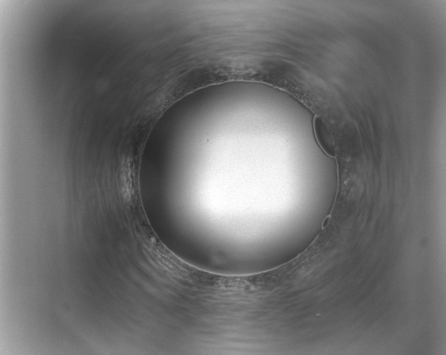 X0000070430866200606091301