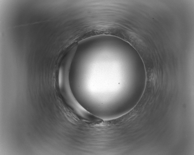 X0000070430868200606091301