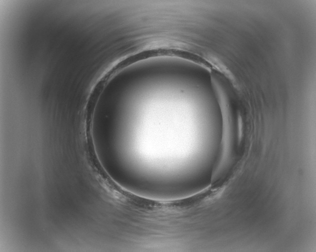 X0000070430877200606091301