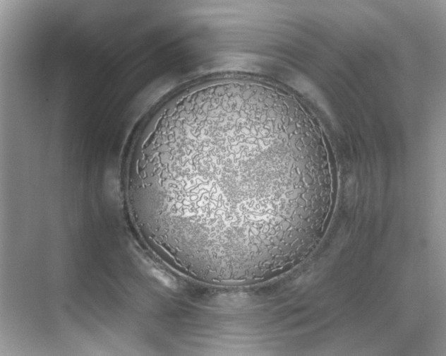 X0000070430882200606091301