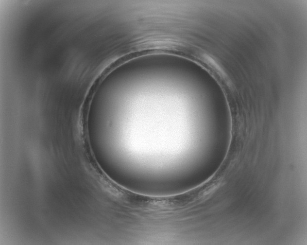 X0000070430883200606091301