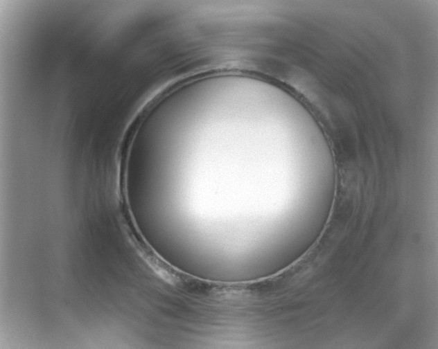 X0000070430886200606091301