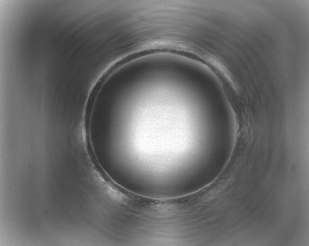 X0000070430888200606091301