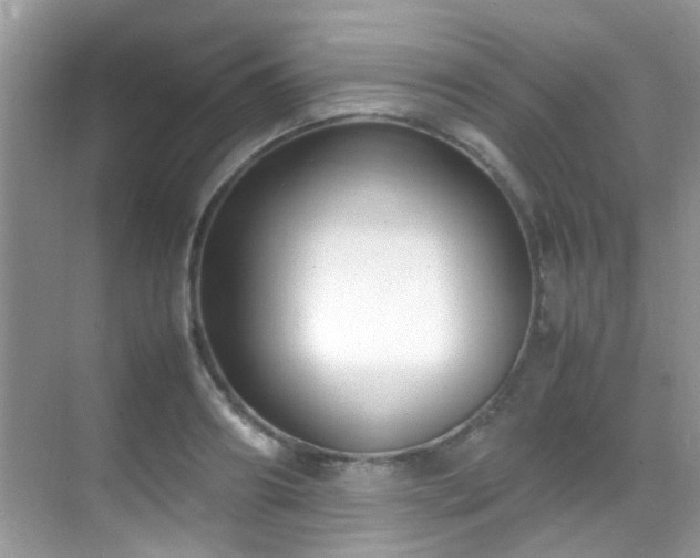 X0000070430890200606091301