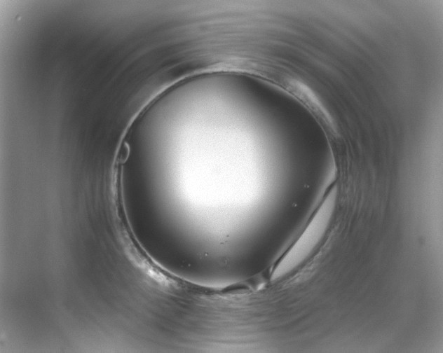 X0000070430900200606091301