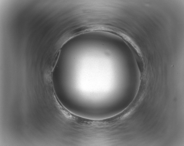 X0000070430905200606091301