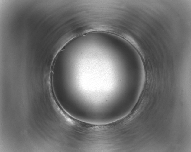 X0000070430906200606091301