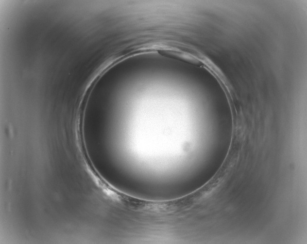 X0000070430909200606091301