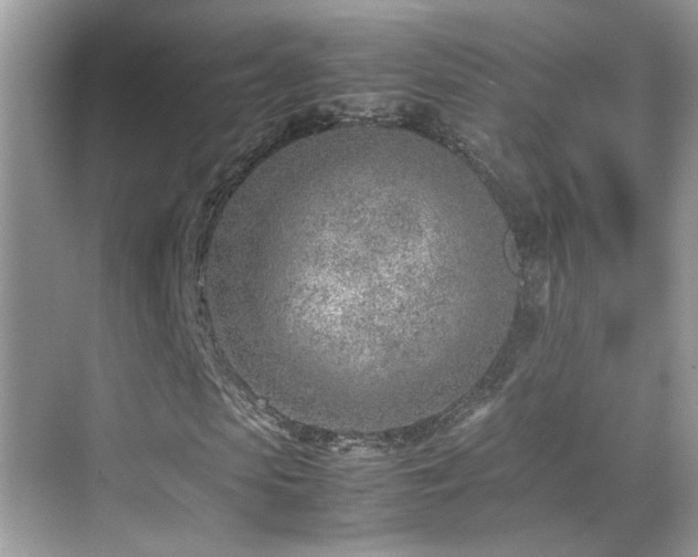 X0000070430913200606091300