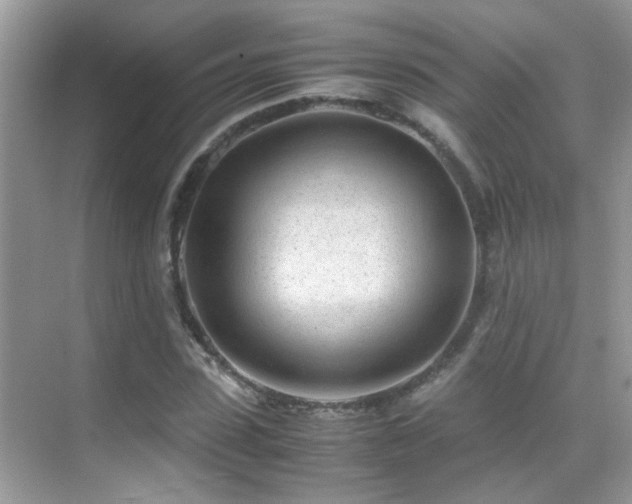 X0000070430923200606091300