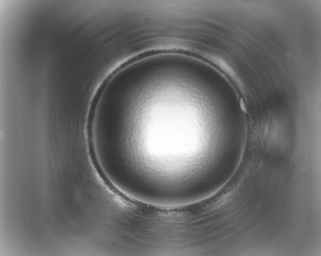 X0000070430943200606091300