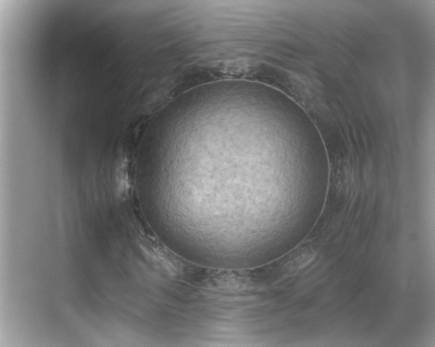 X0000070430962200606091300