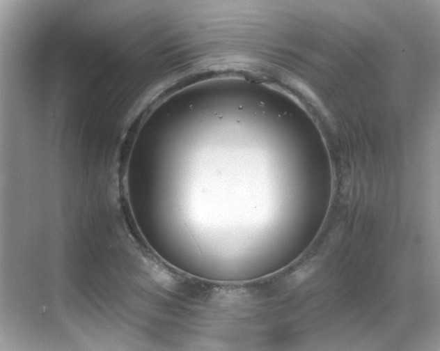 X0000070430978200606091259