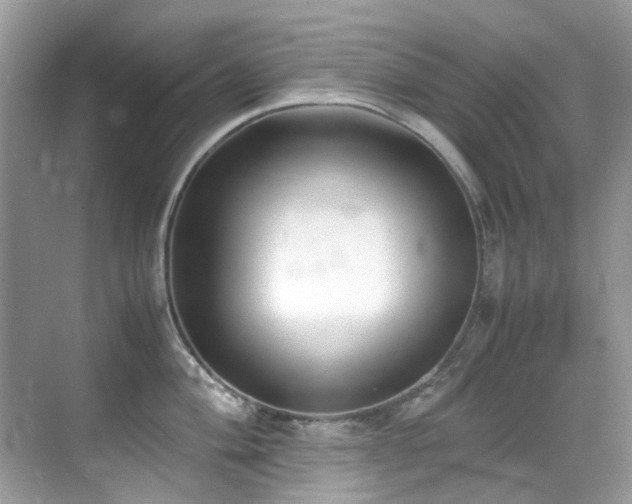 X0000070431004200606091259