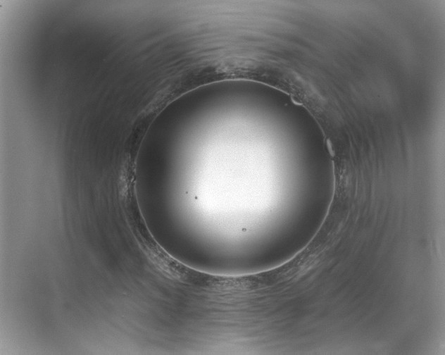 X0000070431012200606091258