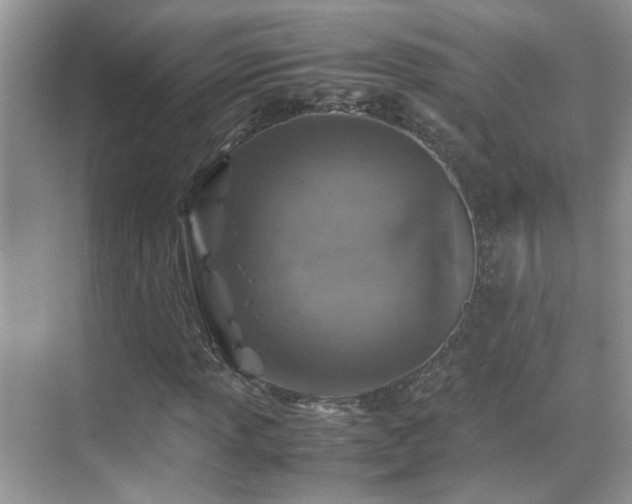 X0000070431013200606091258