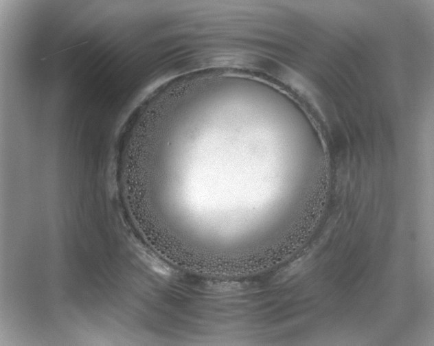 X0000070431019200606091258
