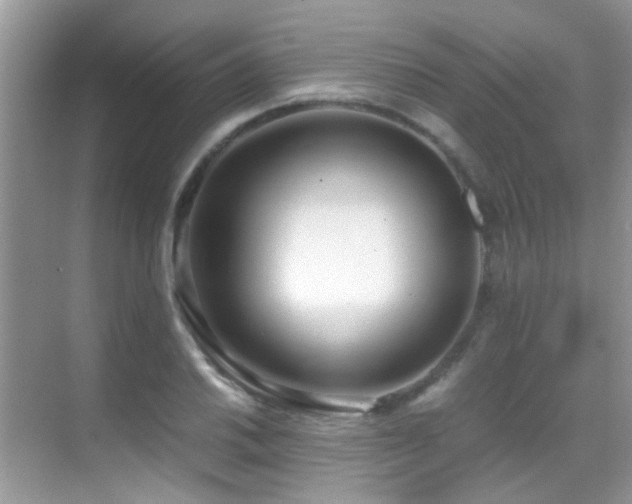 X0000070431030200606091258