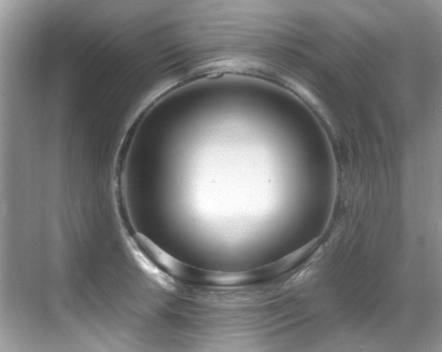 X0000070431042200606091259