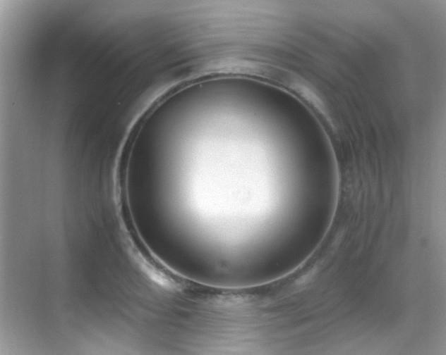 X0000070431082200606091258