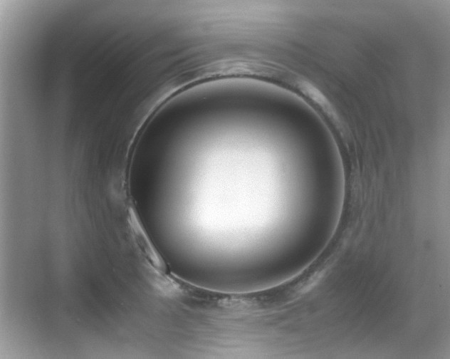 X0000070431089200606091258