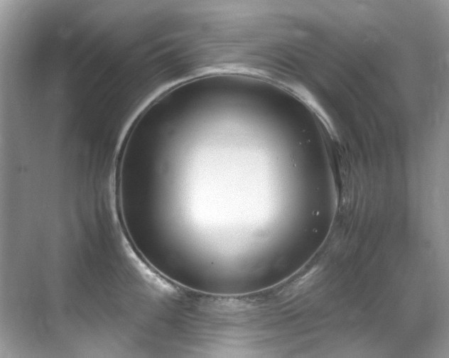 X0000070431100200606091257