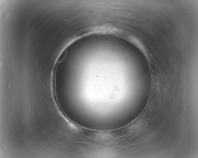 X0000070431103200606091257
