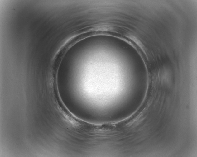X0000070431115200606091257