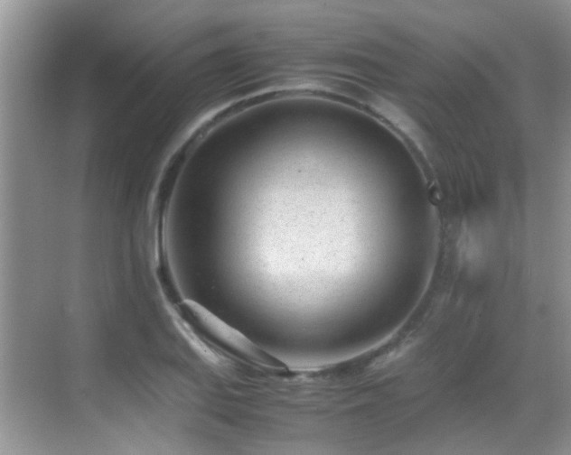 X0000070431127200606091257