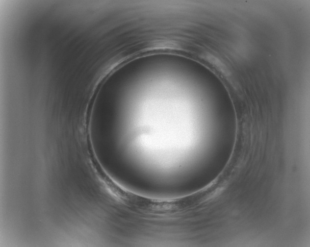 X0000070431129200606091257