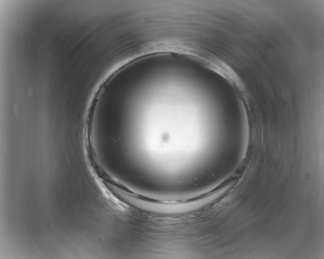 X0000070431144200606091257