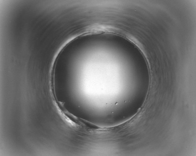X0000070431152200606091257