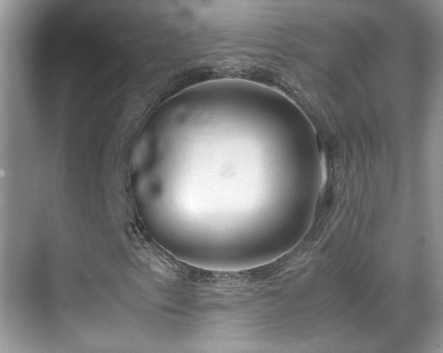 X0000070431153200606091256