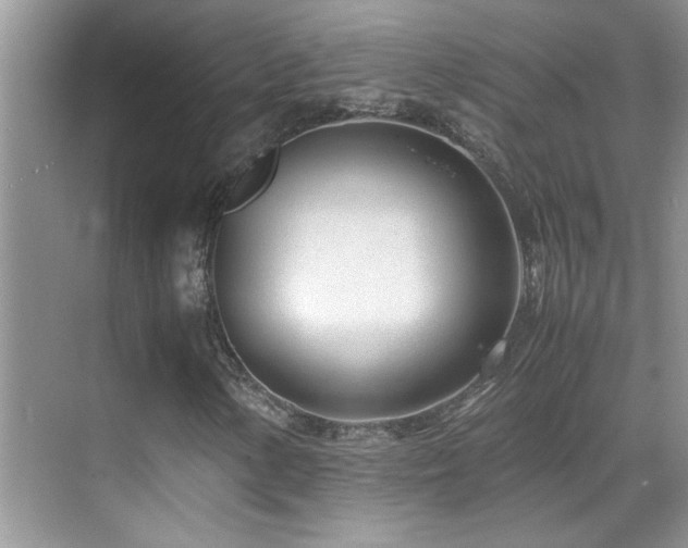 X0000070431154200606091256
