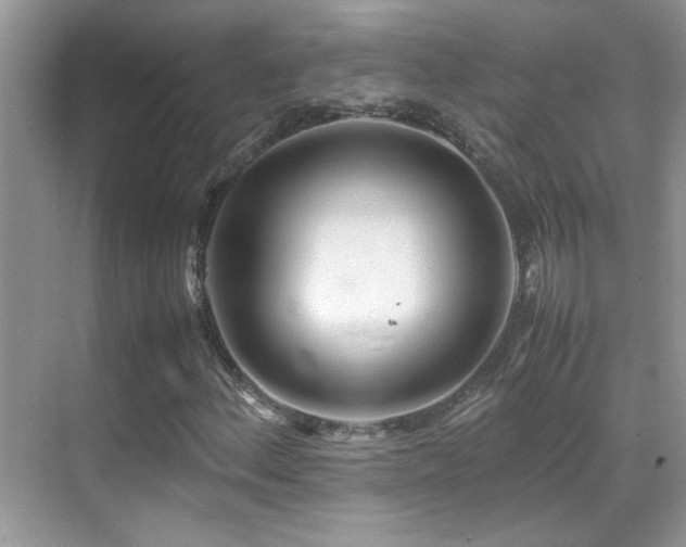 X0000070431156200606091256