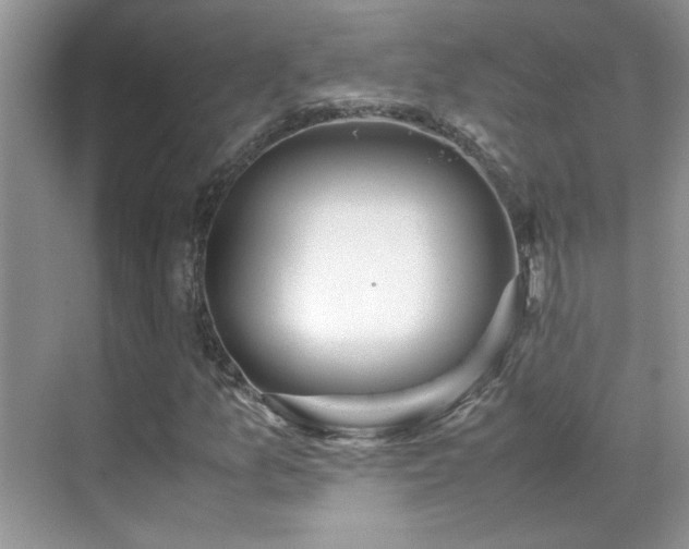 X0000070431157200606091256