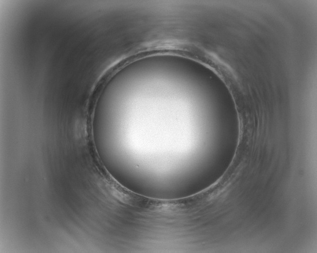 X0000070431166200606091256