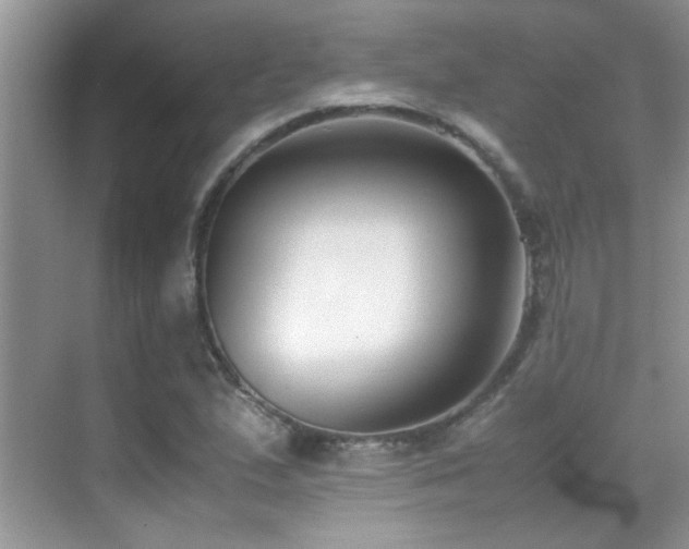 X0000070431167200606091256