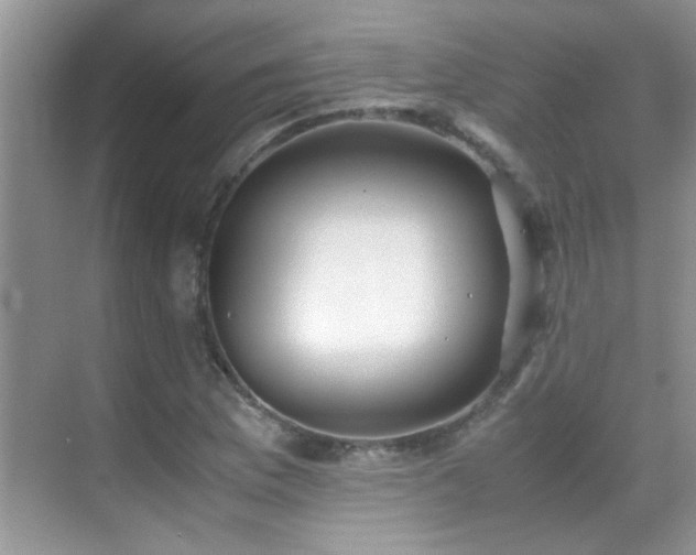 X0000070431169200606091256