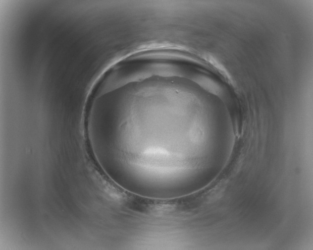 X0000070431173200606091256