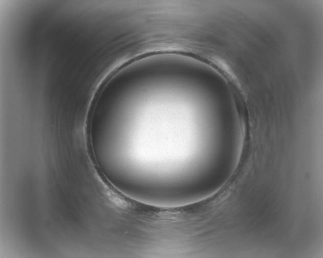 X0000070431181200606091256