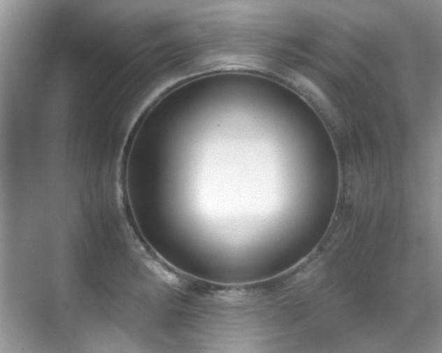 X0000070431182200606091256
