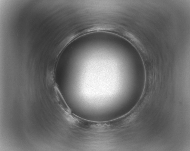 X0000070431185200606091256