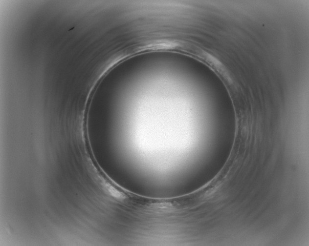 X0000070431186200606091256