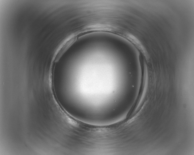 X0000070431188200606091256