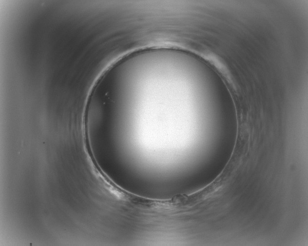 X0000070431191200606091256