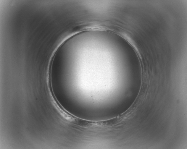 X0000070431195200606091256