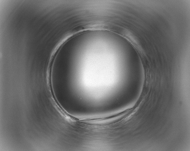 X0000070431196200606091256
