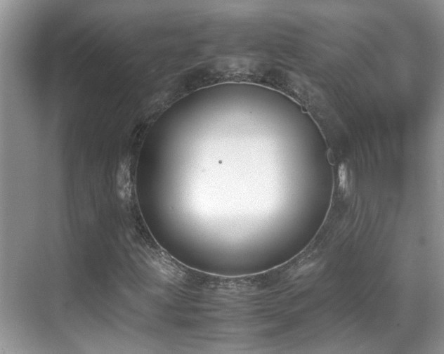 X0000070431203200606091255