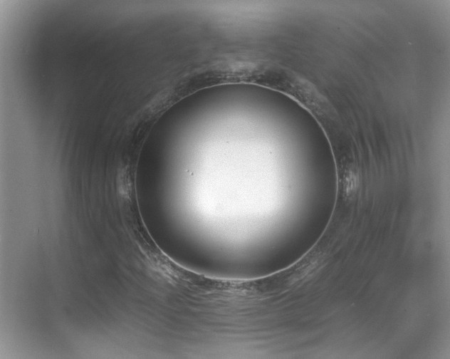 X0000070431204200606091255